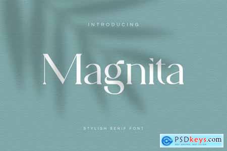 Magnita - Serif Font 4532260