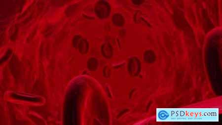 Blood Cell Hd 26580366