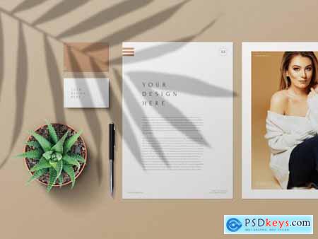 Business Cards and Stationary Mockup 317330898