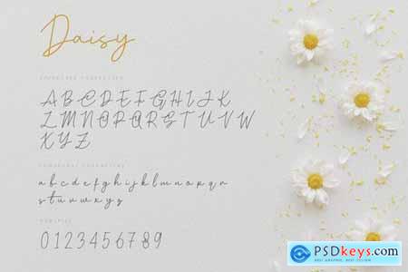Daisy - Modern Script Font