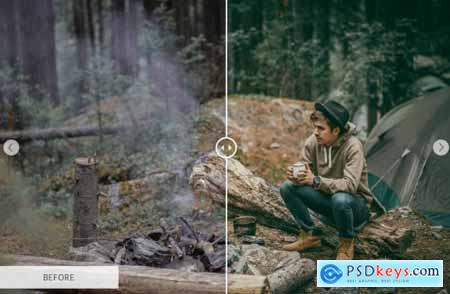 Forest Mobile Presets 4032353