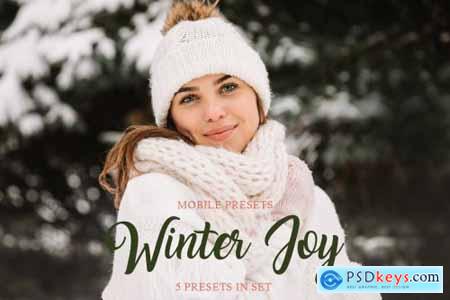 Winter Joy Mobile Presets 4423389