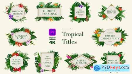 Tropical Titles 24003189