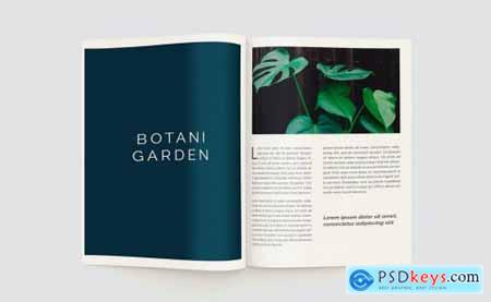 Plants Magazine