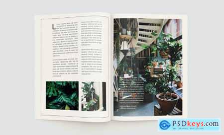 Plants Magazine