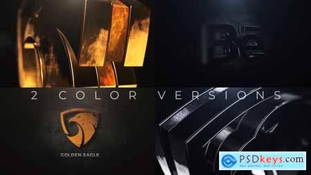 Gold And Silver Logo Reveal 24753721