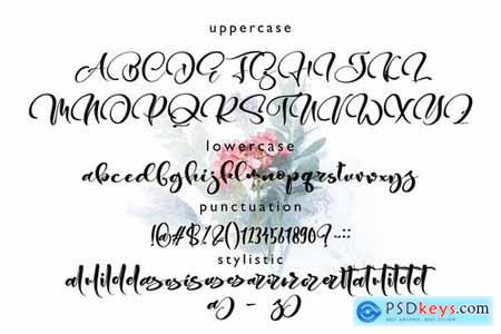 Gesttrak Stunning Script Fonts 4900705