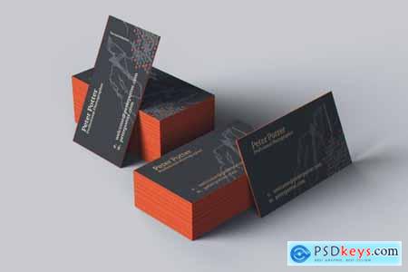 Business Card MockUp GigaPack 4710973