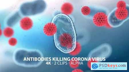 Antibodies Killing Coronavirus 4K 26390472