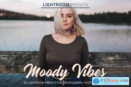Moody Vibes Presets 4801344