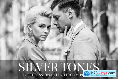 Silver Tones Presets Lightroom 4802232