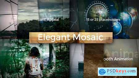 Elegant Mosaic Opener 12761792