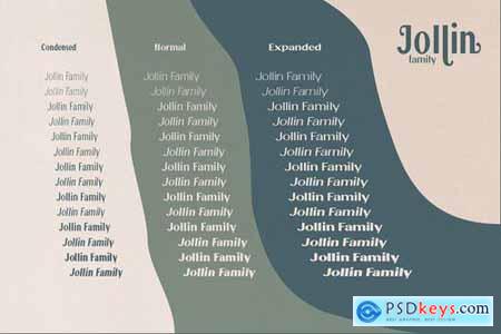 Jollin Family - Variable Font 4905489