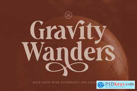 Gravity Wanders - Stylish Bold Serif 4756775