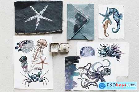 Watercolor ocean creatures set