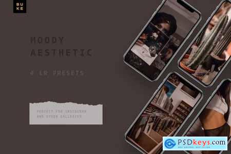 4 Moody Aesthetic Lightroom Presets 4944488