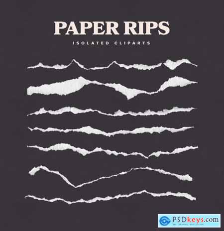 Isolated Paper Rip Art Kit 355269989