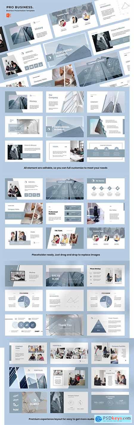 Pro Business Powerpoint, Keynote and Google Slide Template