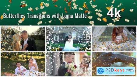 Butterflies Transition with Luma Matte  7 Variations 22449464