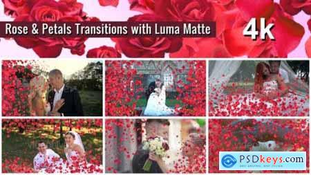 Rose and Petals Transition with Luma Matte  7 Variations 4k 22375322