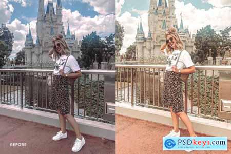 Lightroom Preset-Disneyland Princess 4973030