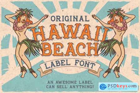 Hawaii Beach Font & T-shirts 24658585