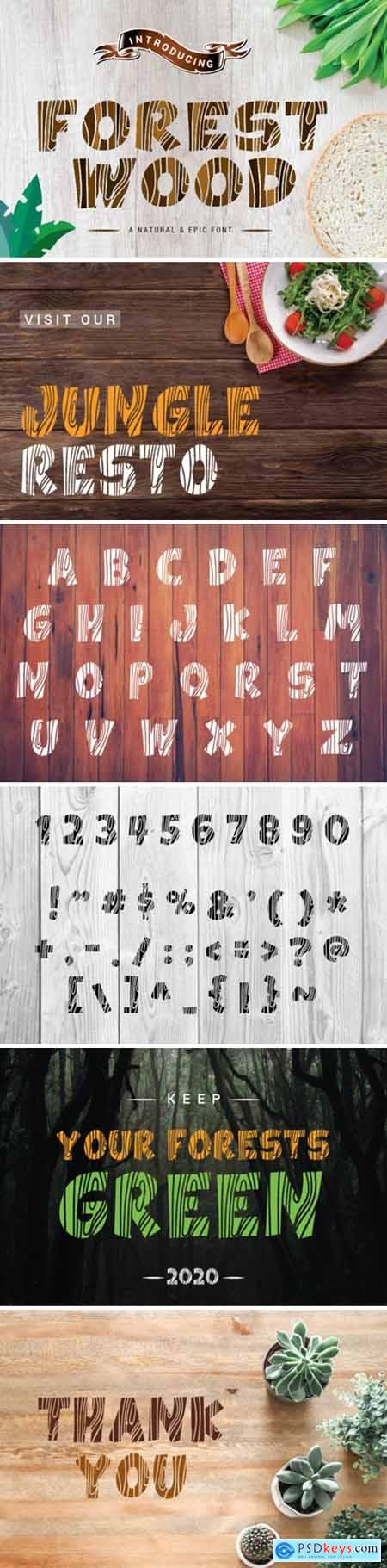 Forest Wood Font