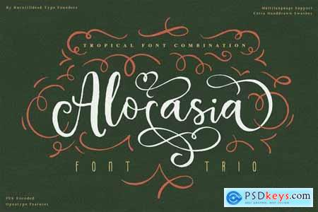 Alocasia-Trio Font Combination
