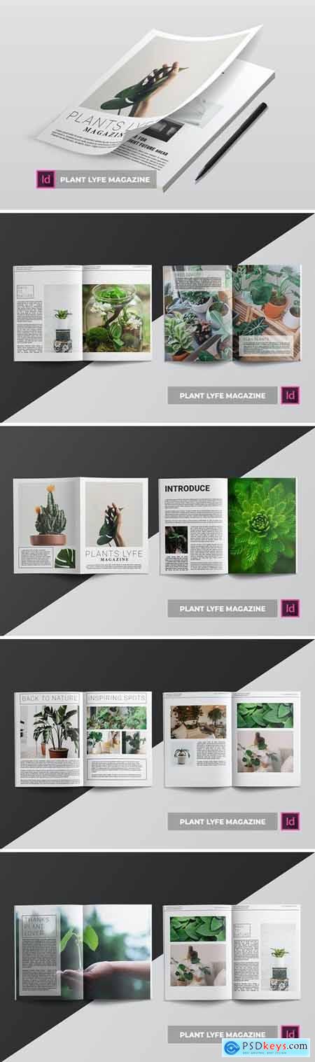 Plant Lyfe - Magazine