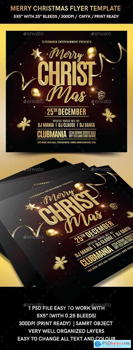 Merry Christmas Flyer Template 22856025