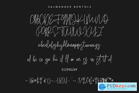 Salmander Bentols Script Signature Typeface Font