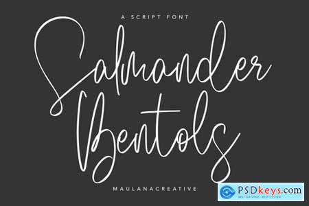 Salmander Bentols Script Signature Typeface Font