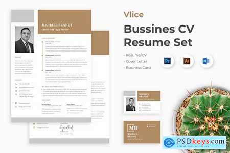Professional Business CV Resume Set - Vlice