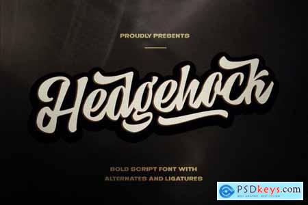 Hedgehock - Bold Script Logo Font 5192804