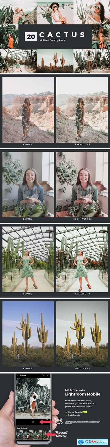 20 Cactus Lightroom Presets and LUTs 5206569
