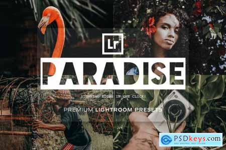 Paradise - Lightroom Presets 5215514