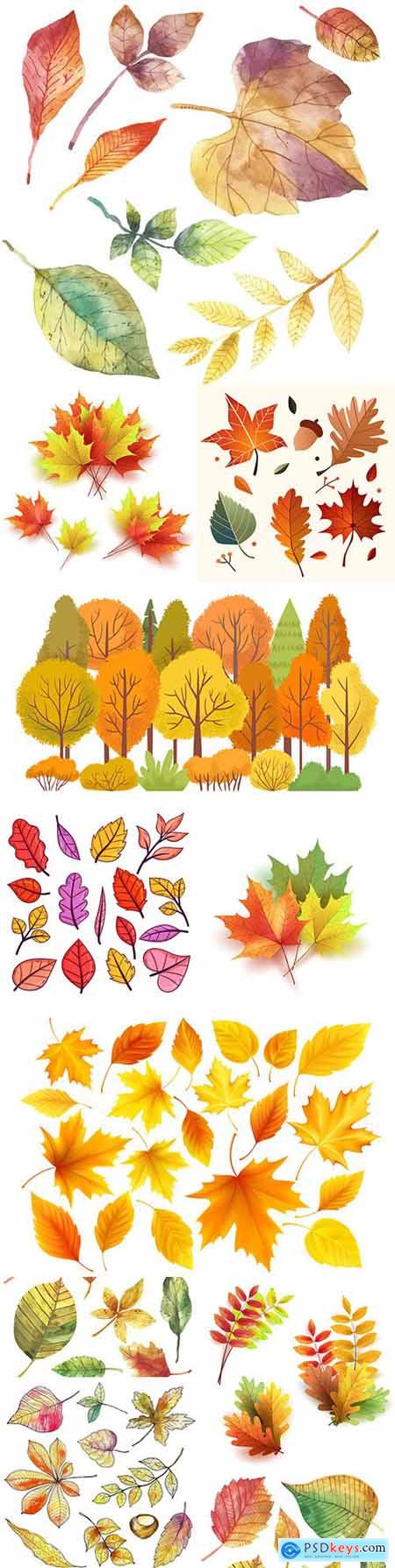 Autumn bright colorful different leaves illustration collection