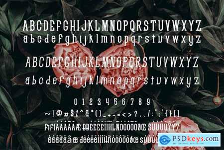 ATHENA - Serif Font