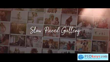 Slow Paced Gallery 28138555