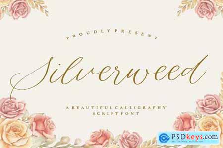 Silverweed - Elegant Script Font