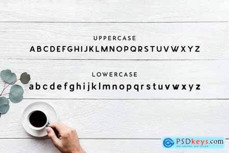 LYNCER - Modern and minimalis font