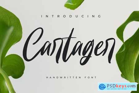 Cartager Modern Handwritten Font