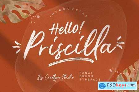 Priscilla Fancy Brush Typeface
