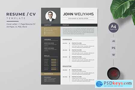 Modern and Clean Resume - CV Template681