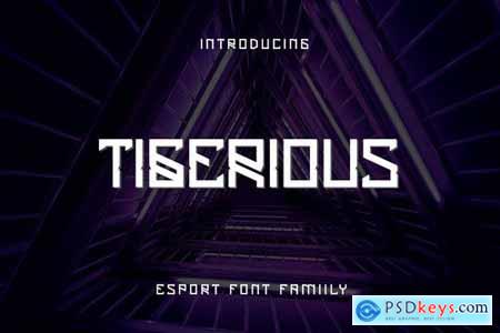 Tigerious - Modern Sport Font DR