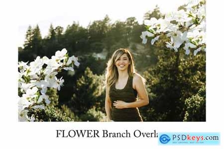 Flower Branch Overlays, PNG 5264581