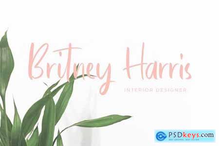 Bastelory Modern Script Font