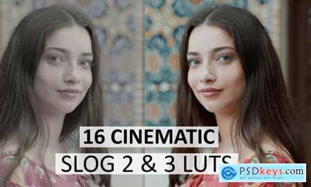 Cinematic Luts (Slog2 & Slog3) 4963148