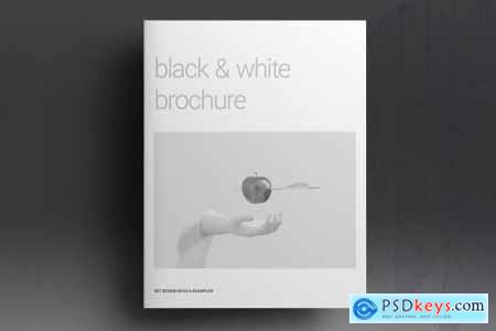 Black and White Lifestyle Brochure 5297328