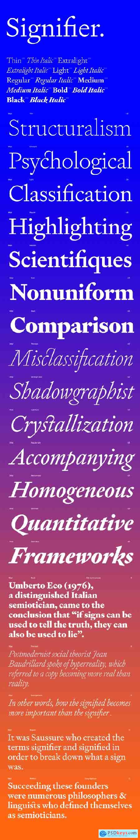 Signifier Font Family